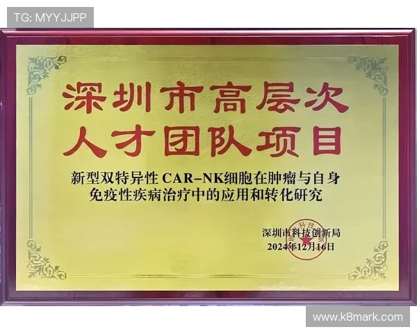 如何在凯发k8官方网站上快速存取款项确保资金安全和交易便捷的实用技巧分享