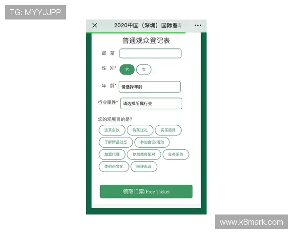 k8官网游戏登录入口官方推荐的登录流程及注意事项，保障账号安全与顺畅登录