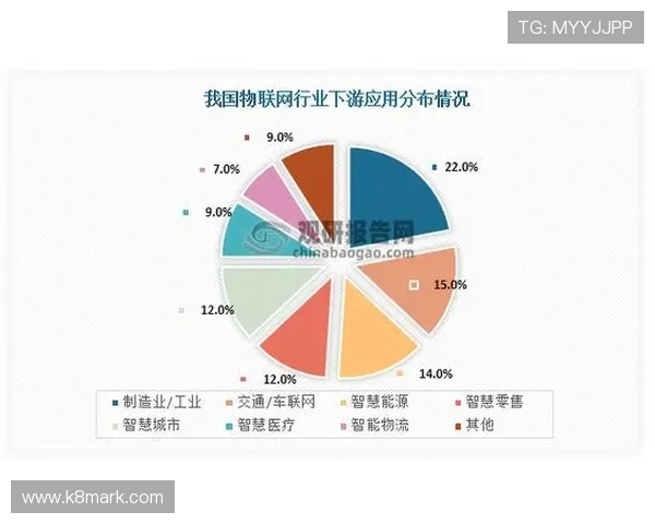 K8亚娱集团全面解析：行业领先的娱乐综合平台发展现状与未来趋势